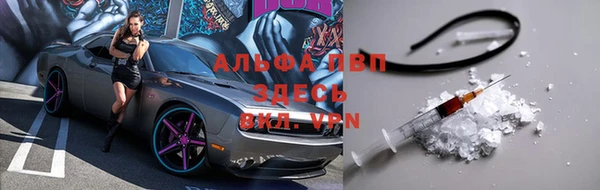 стаф Медвежьегорск