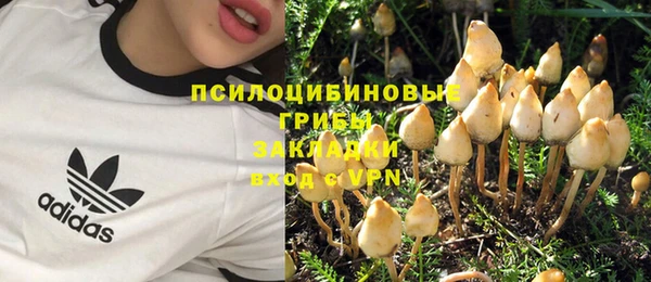 ECSTASY Сафоново
