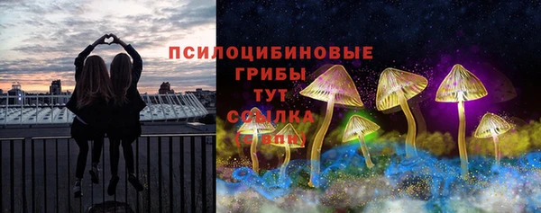 mix Алексин
