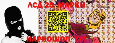 mdpv Гатчина