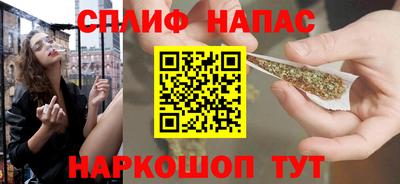 стафф Гай