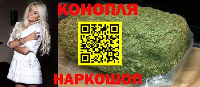 mdpv Гатчина