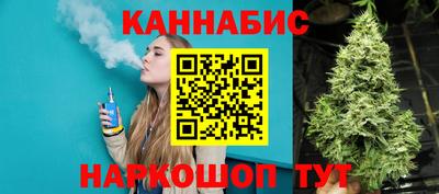 стафф Гай