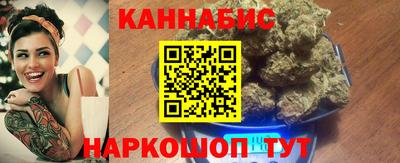 стафф Гай