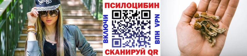Галлюциногенные грибы Magic Shrooms  где купить наркотик  Калининград 