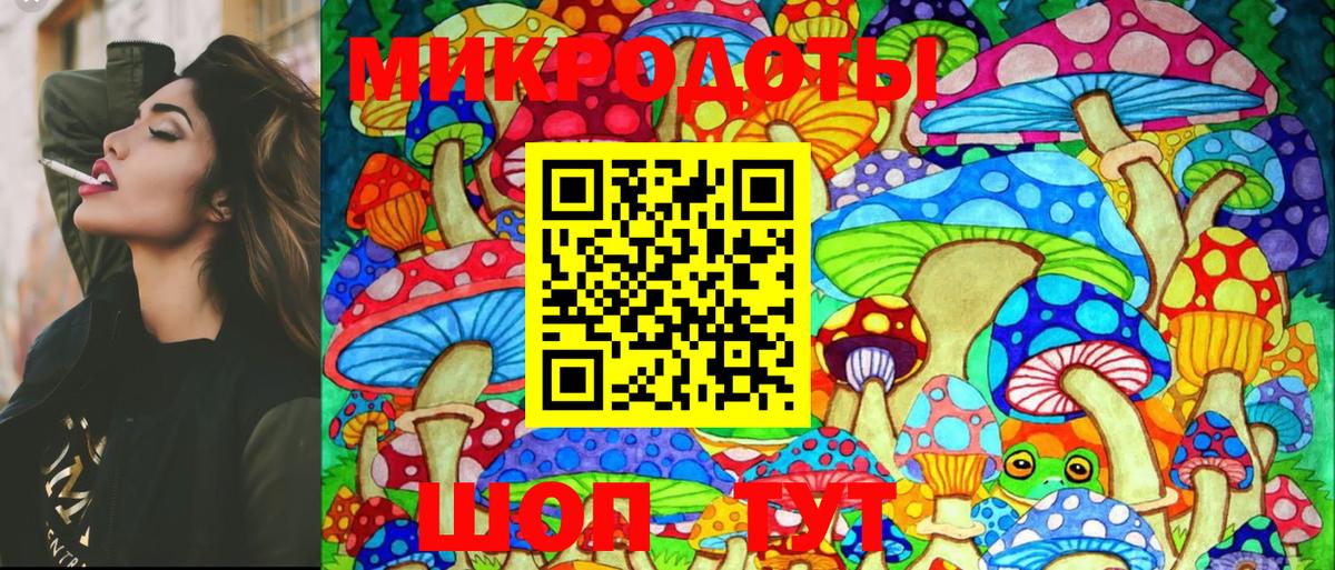 где купить   Вход с VPN  Калининград  Псилоцибиновые грибы MAGIC MUSHROOMS 