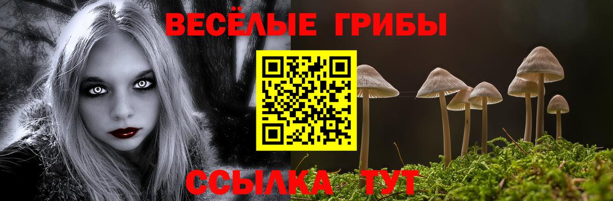 Галлюциногенные грибы GOLDEN TEACHER  Псилоцибиновые грибы GOLDEN TEACHER  Калининград 