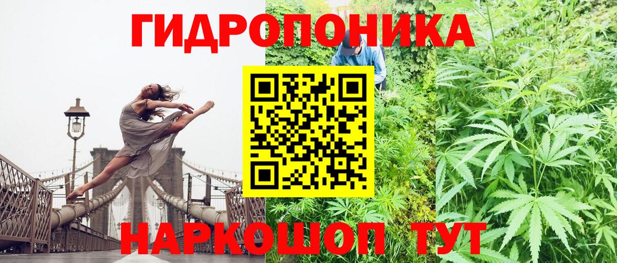 Бошки Шишки семена  Вход с VPN  Калининград  Каннабис семена 
